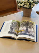 Laden Sie das Bild in den Galerie-Viewer, Peter Gaymann "Reiseskizzen"